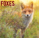 Image for Foxes 2022 Wall Calendar