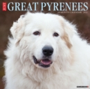 Image for Just Great Pyrenees 2022 Wall Calendar (Dog Breed)