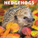 Image for Hedgehogs 2022 Wall Calendar