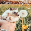 Image for Herbee the Hedgehog 2022 Wall Calendar