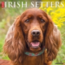Image for Just Irish Setters 2022 Wall Calendar (Dog Breeds)