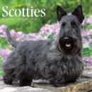 Image for Just Scotties 2022 Wall Calendar (Dog Breed)