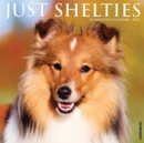 Image for Just Shelties 2022 Wall Calendar (Dog Breed)