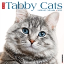 Image for Just Tabby Cats 2022 Wall Calendar (Cat Breed)