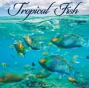 Image for Tropical Fish 2022 Wall Calendar