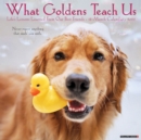 Image for What Goldens Teach Us 2022 Wall Calendar (Golden Retriever Dogs, Dog Breed)