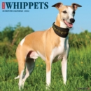 Image for Just Whippets 2022 Wall Calendar (Dog Breed)