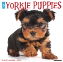Image for Just Yorkie Puppies 2022 Wall Calendar (Dog Breed)