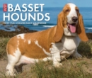 Image for Basset Hounds 2022 Box Calendar - Dog Breed Daily Desktop