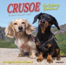 Image for Crusoe the Celebrity Dachshund 2022 Mini Wall Calendar