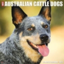 Image for Just Australian Cattle Dogs 2023 Wall Calendar