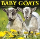 Image for Baby Goats 2023 Wall Calendar