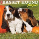 Image for Just Basset Hound Puppies 2023 Wall Calendar