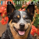 Image for Just Blue Heelers 2023 Wall Calendar