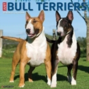 Image for Just Bull Terriers 2023 Wall Calendar
