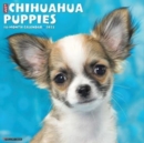Image for Just Chihuahua Puppies 2023 Wall Calendar