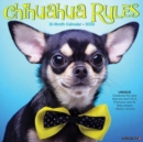 Image for Chihuahua Rules 2023 Wall Calendar