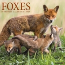 Image for Foxes 2023 Wall Calendar