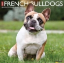 Image for Just French Bulldogs 2023 Wall Calendar