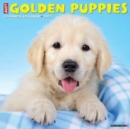 Image for Just Golden Puppies 2023 Wall Calendar