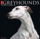 Image for Just Greyhounds 2023 Wall Calendar