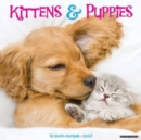 Image for Kittens &amp; Puppies 2023 Wall Calendar