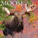 Image for Moose 2023 Wall Calendar