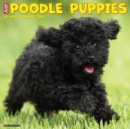 Image for Just Poodle Puppies 2023 Wall Calendar