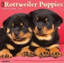 Image for Just Rottweiler Puppies 2023 Wall Calendar