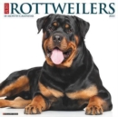 Image for Just Rottweilers 2023 Wall Calendar