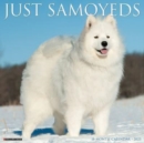 Image for Just Samoyeds 2023 Wall Calendar