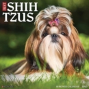 Image for Just Shih Tzus 2023 Wall Calendar
