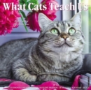 Image for What Cats Teach Us 2023 Wall Calendar