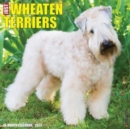 Image for Just Wheaton Terriers 2023 Wall Calendar