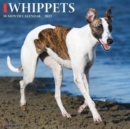Image for Just Whippets 2023 Wall Calendar