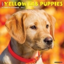 Image for Just Yellow Lab Puppies 2023 Wall Calendar