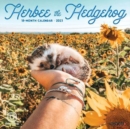 Image for Herbee the Hedgehog 2023 Mini Wall Calendar