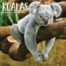 Image for Koala Bears 2023 Mini Wall Calendar