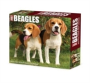 Image for Beagles 2023 Box Calendar