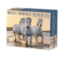 Image for What Horses Teach Us 2023 Box Calendar