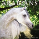 Image for Arabians 2024 12 X 12 Wall Calendar