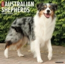 Image for Just Australian Shepherds 2024 12 X 12 Wall Calendar