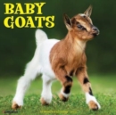 Image for Baby Goats 2024 12 X 12 Wall Calendar