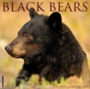 Image for Black Bears 2024 12 X 12 Wall Calendar