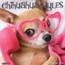Image for Chihuahua Rules 2024 12 X 12 Wall Calendar