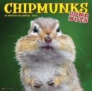 Image for Chipmunks (Gone Nuts!) 2024 12 X 12 Wall Calendar