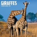 Image for Giraffes 2024 12 X 12 Wall Calendar