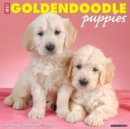 Image for Just Golden Puppies 2024 12 X 12 Wall Calendar