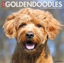 Image for Just Goldendoodles 2024 12 X 12 Wall Calendar