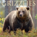Image for Grizzlies 2024 12 X 12 Wall Calendar